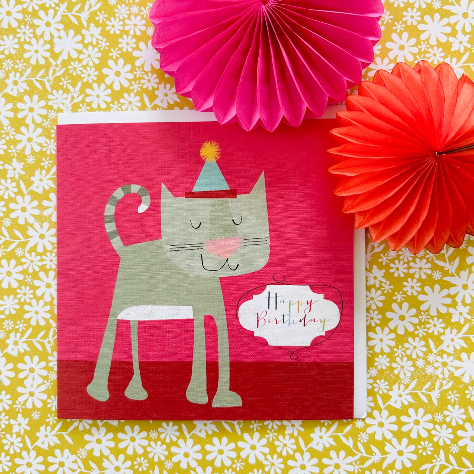 AA01 happy birthday cat card