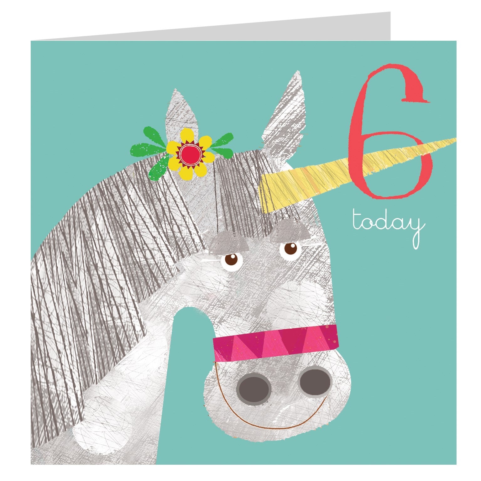 AC12 unicorn 6th birthday card