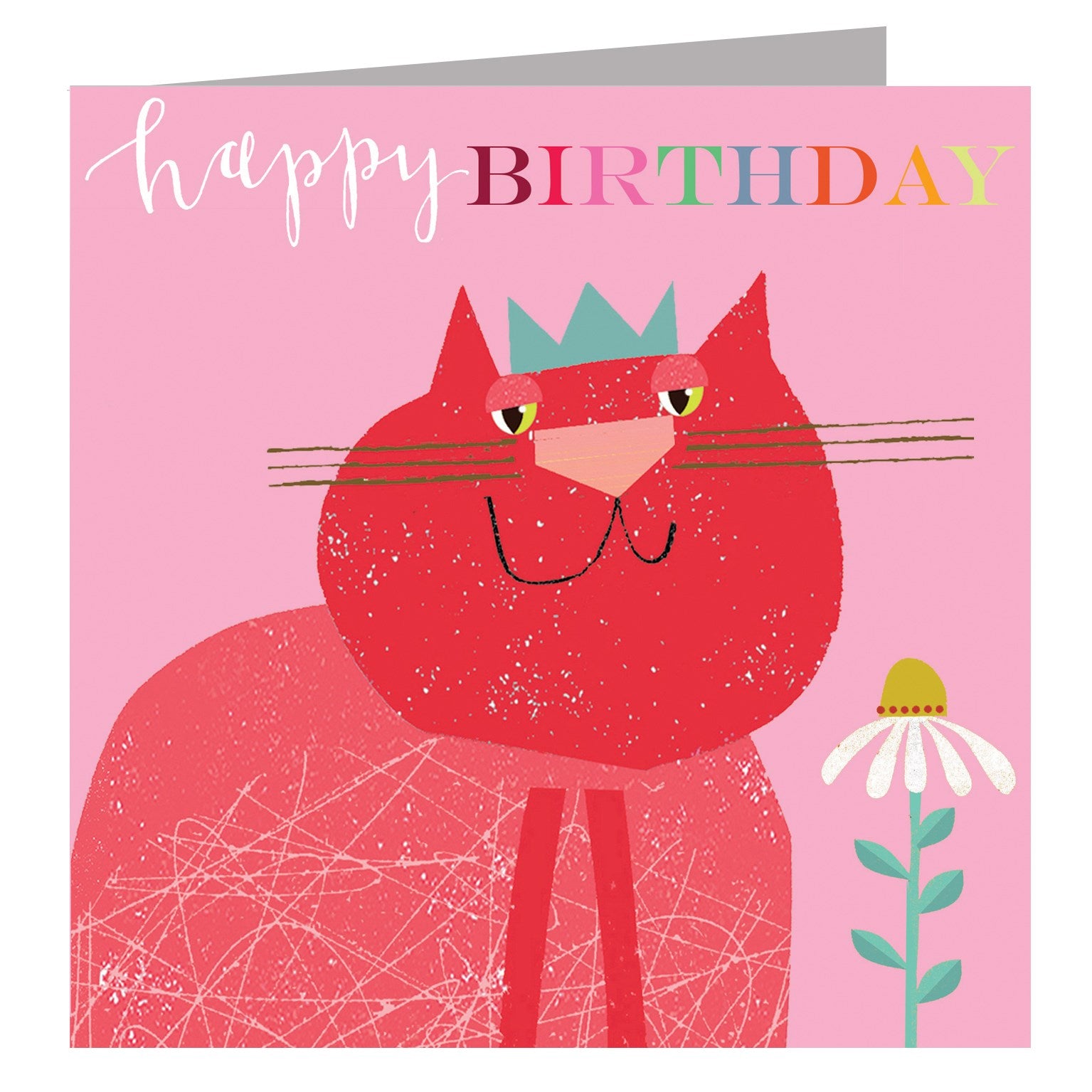 BH05 smugus catus birthday card