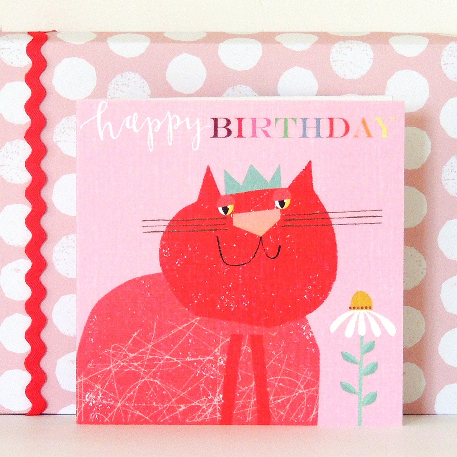 BH05 smugus catus birthday card