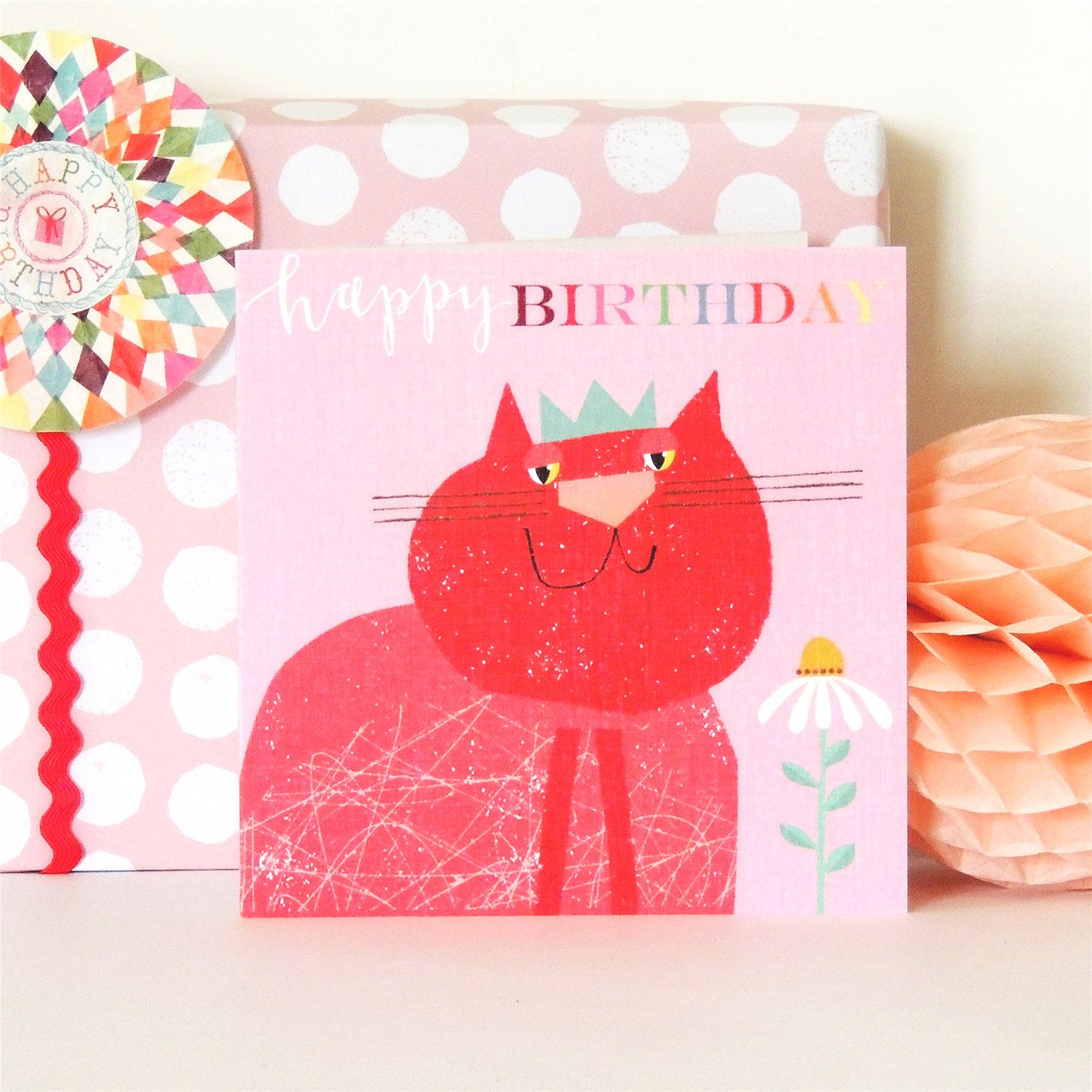 BH05 smugus catus birthday card