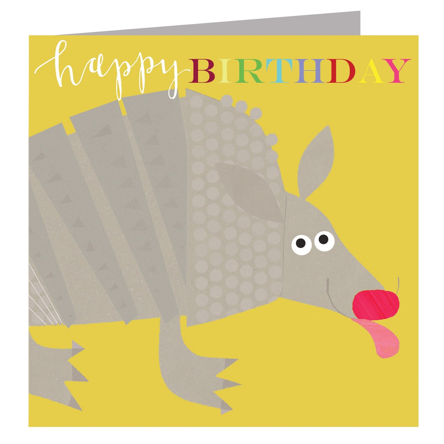 BH12 anteater happy birthday card