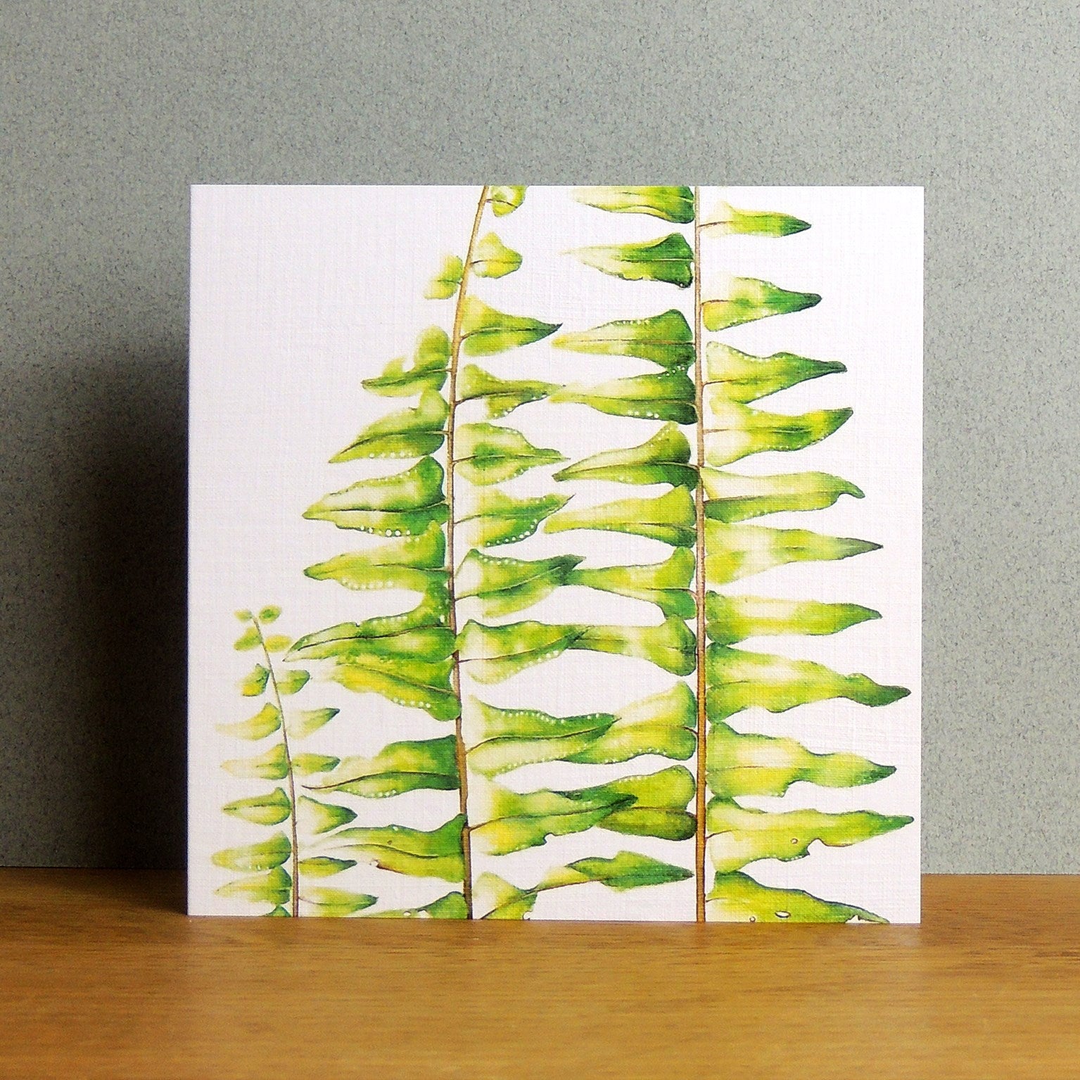 mixed botanical greetings card pack 4