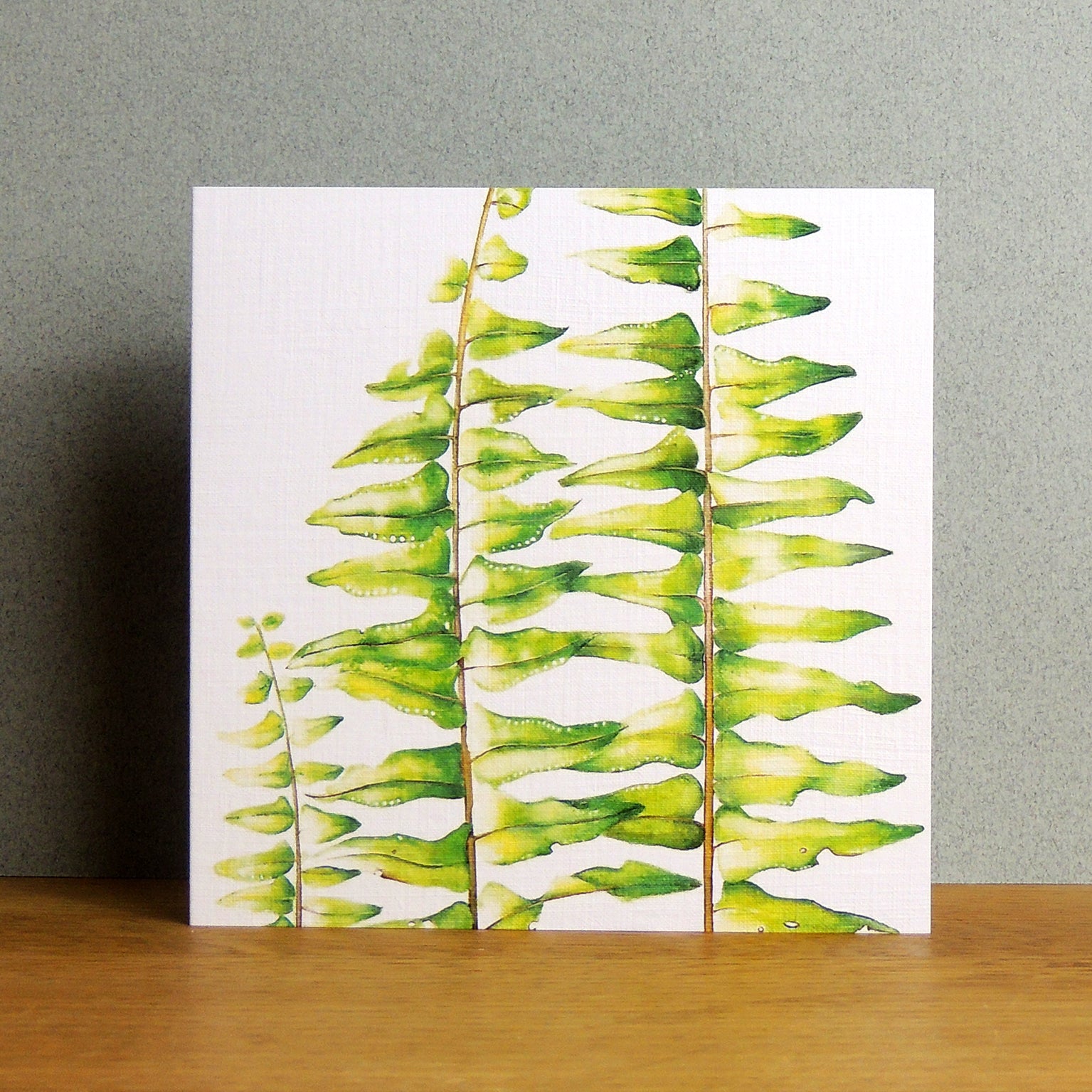 BT03 sword fern greetings card