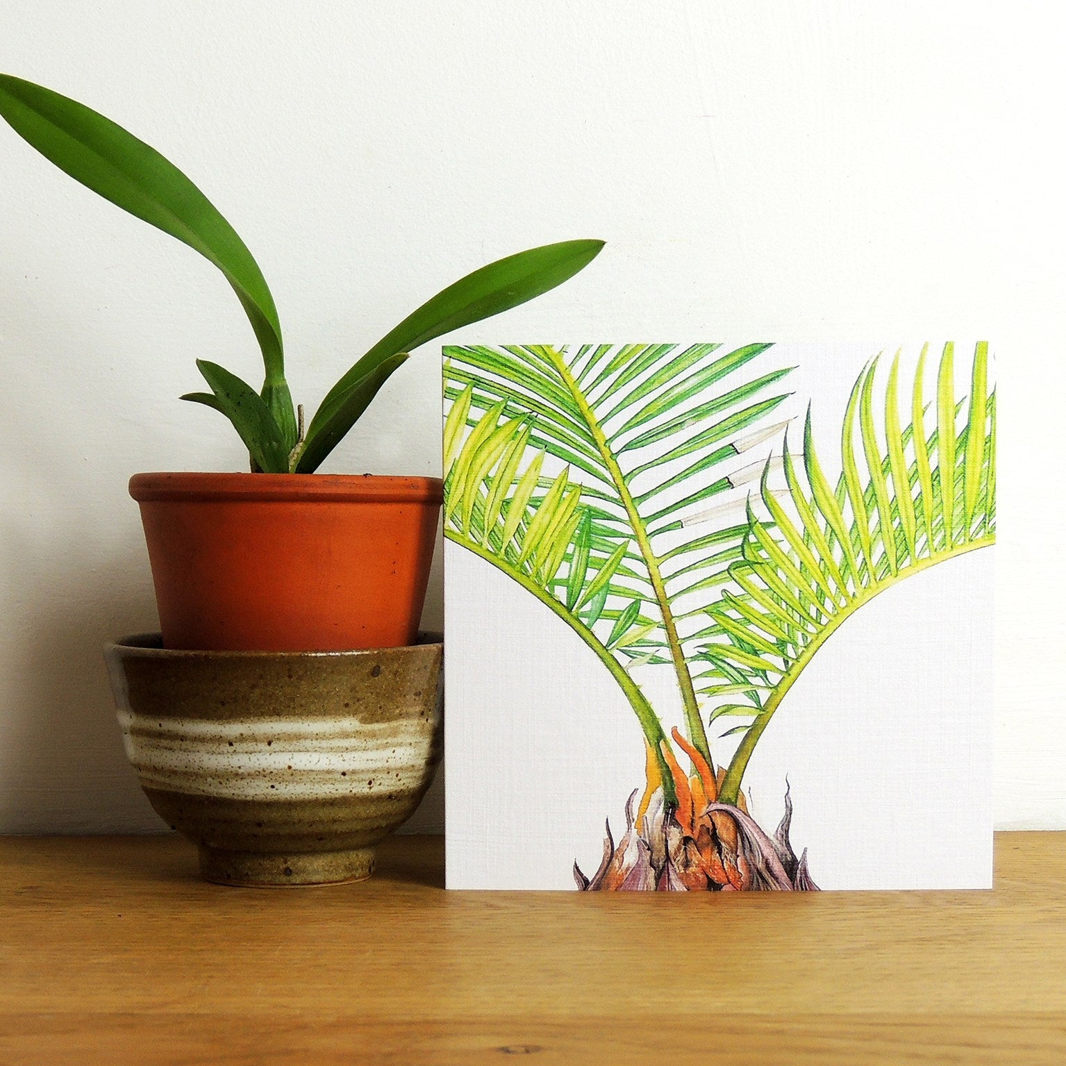 BT05 sago palm greetings card