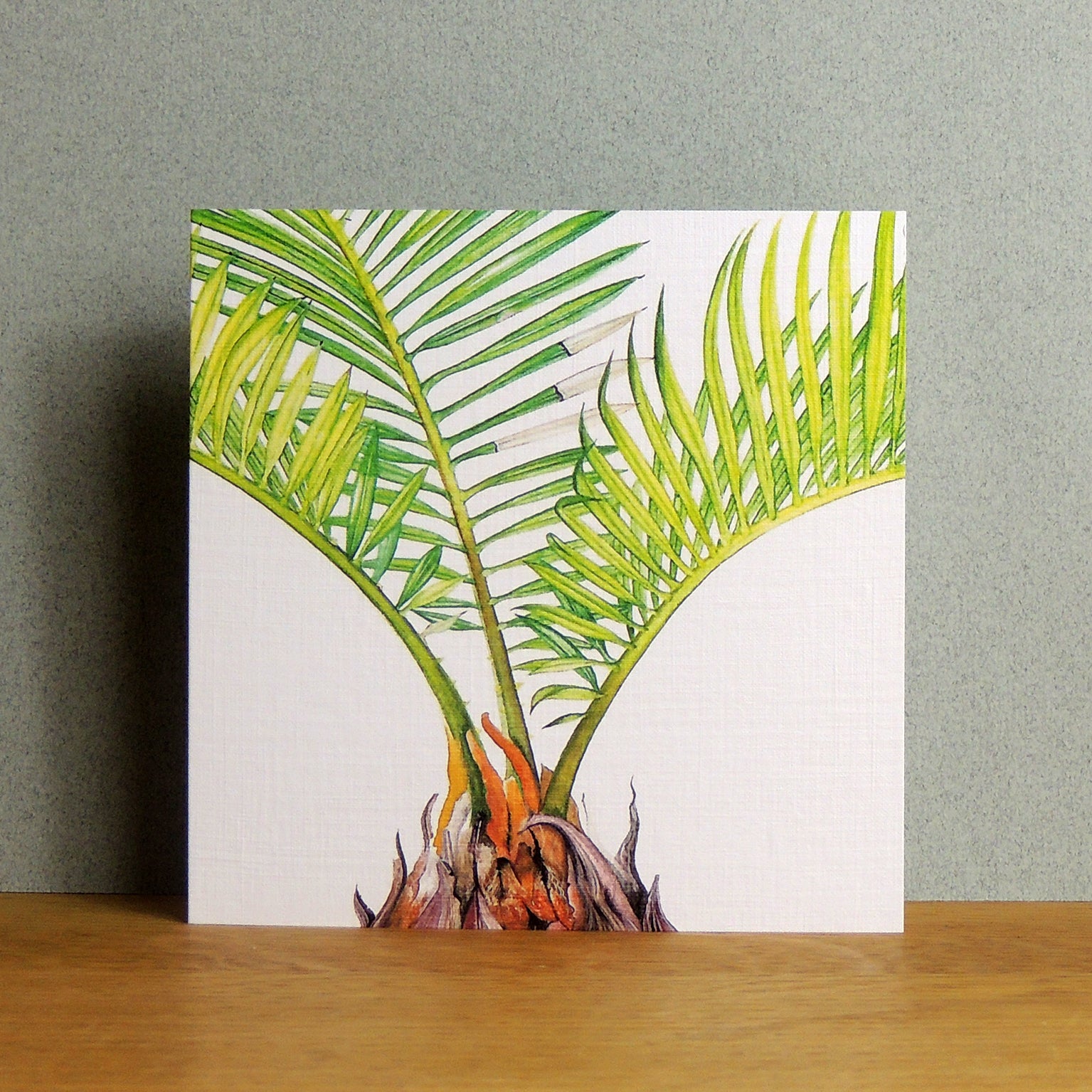 BT05 sago palm greetings card