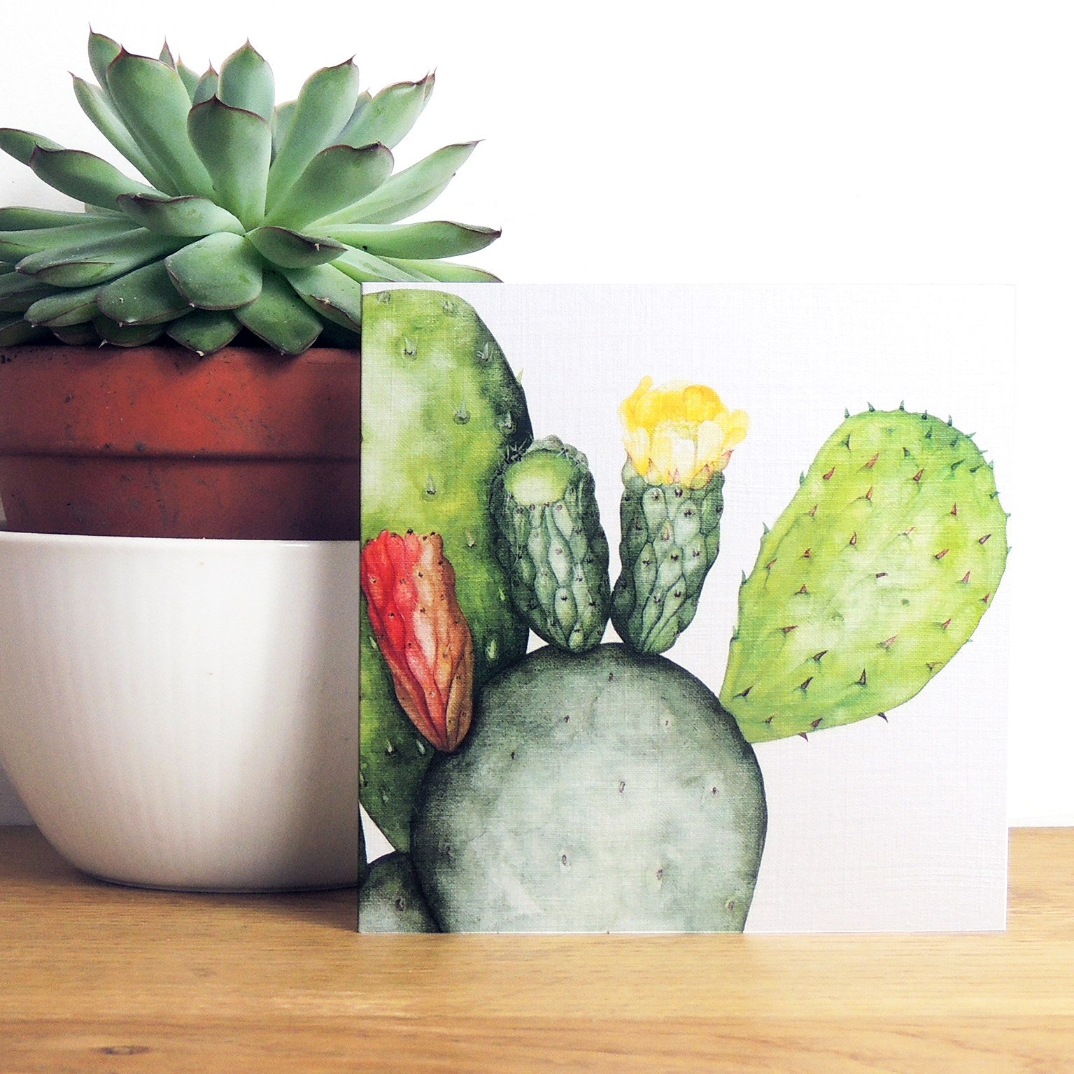 BT07 prickly pear greetings card