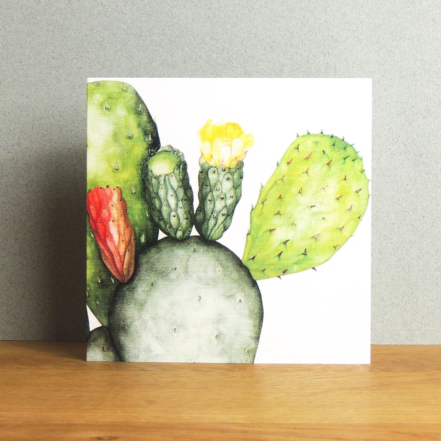 BT07 prickly pear greetings card