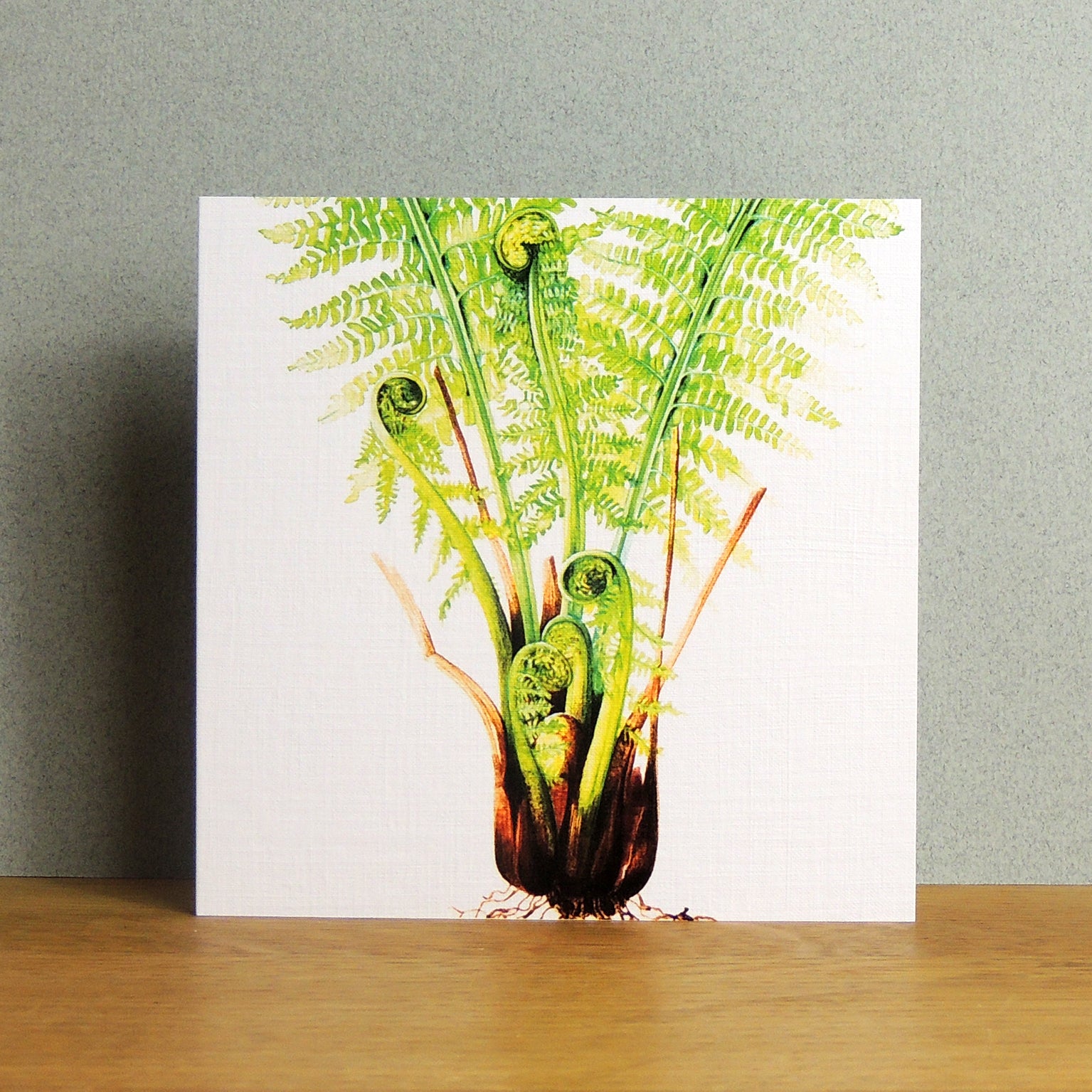 BT08 fern greetings card