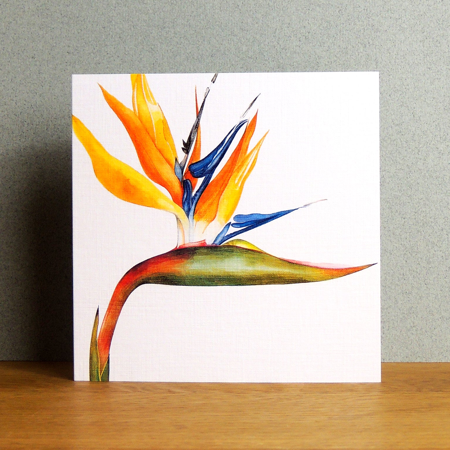 BT09 bird of paradise greetings card