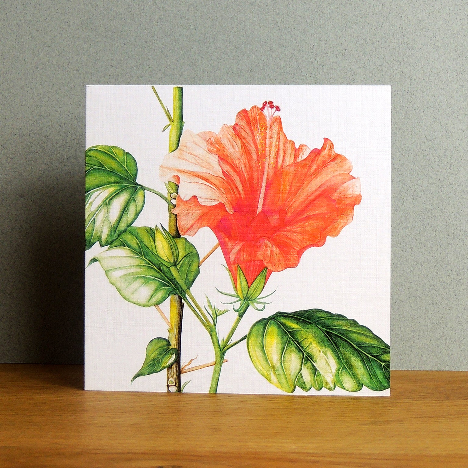 BT10 hibiscus greetings card