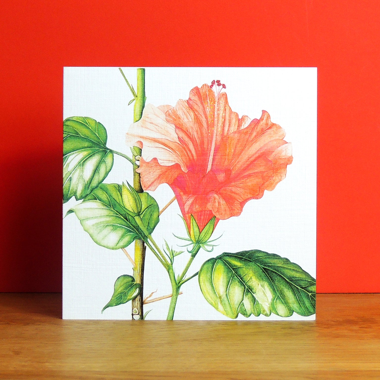 BT10 hibiscus greetings card