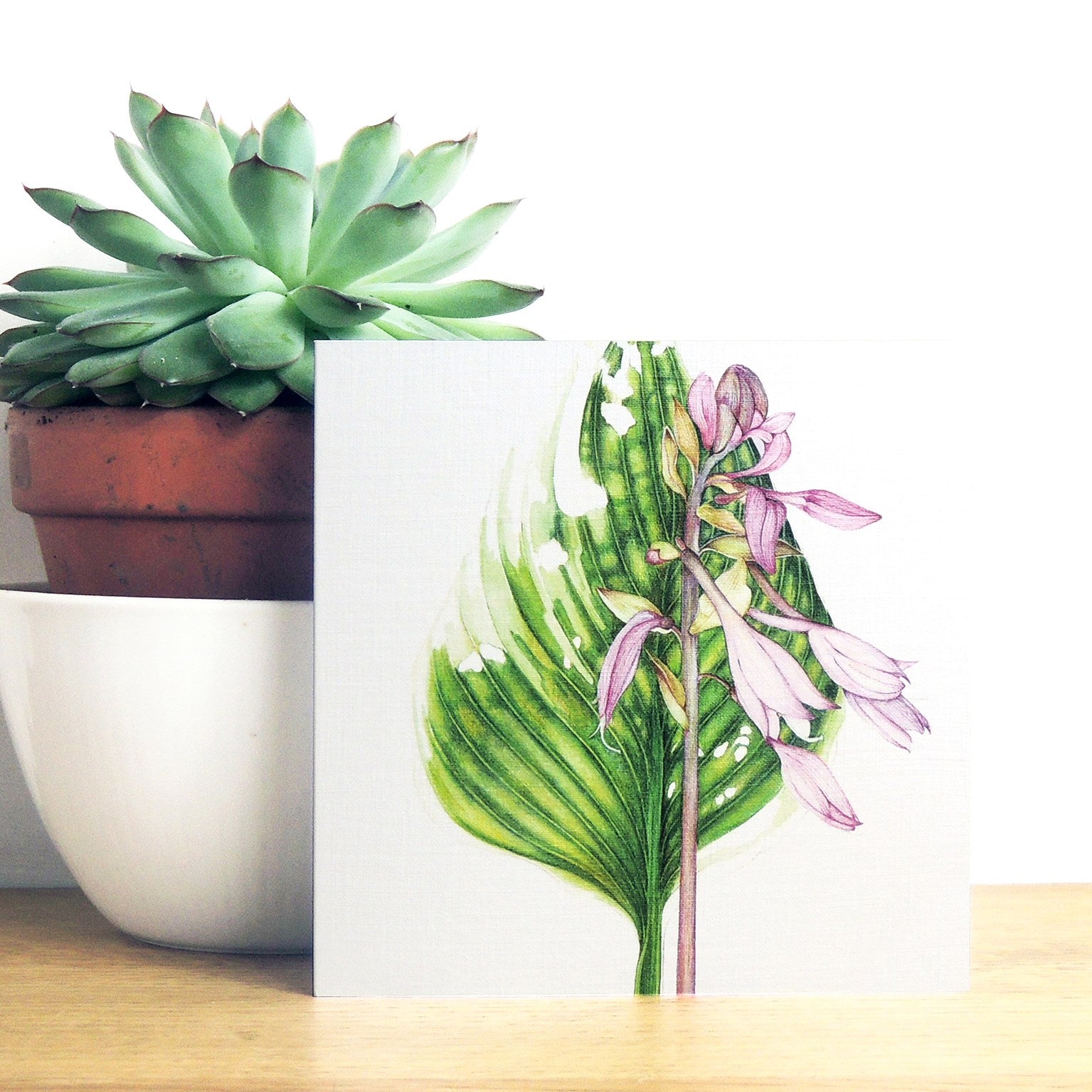 mixed botanical greetings card pack 1