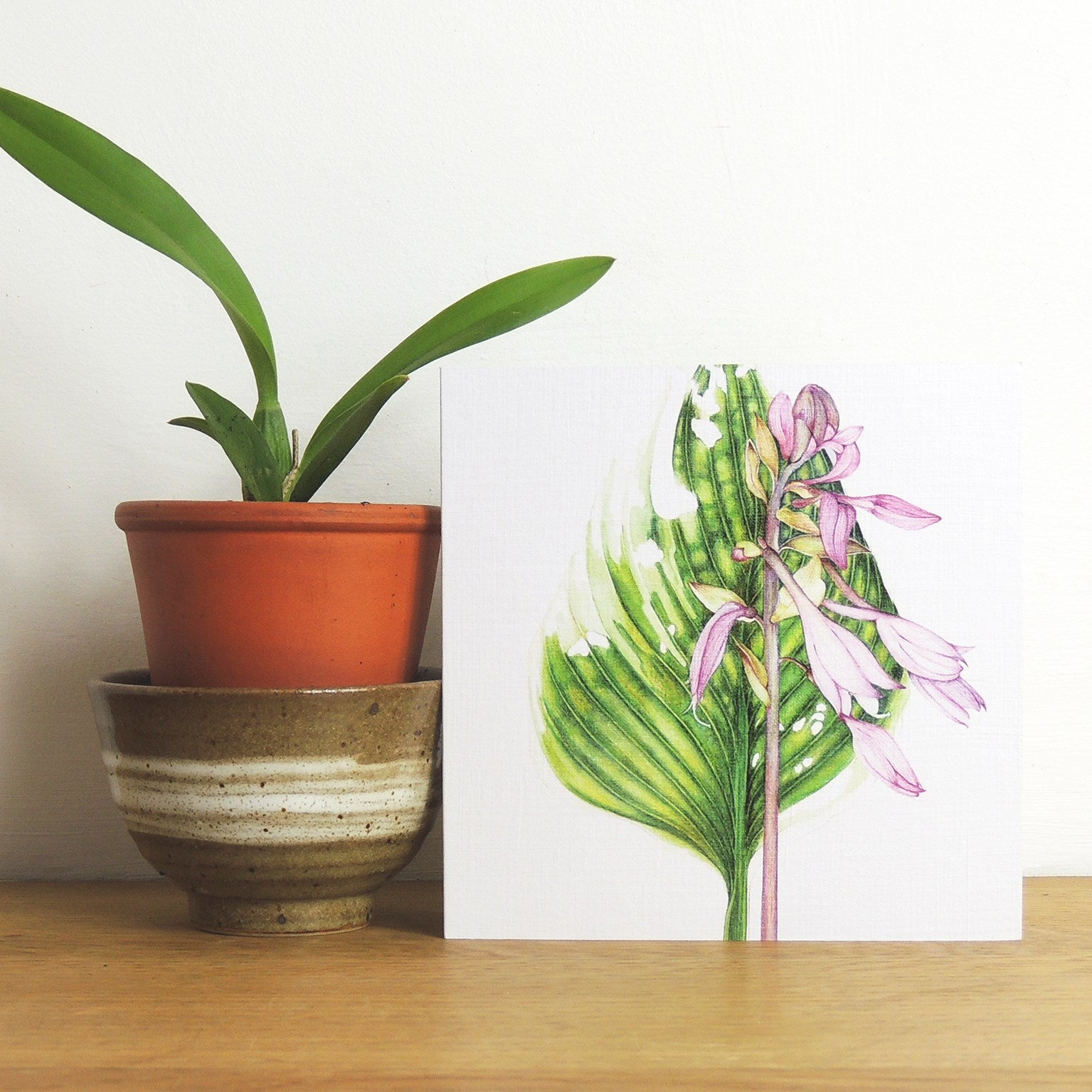 BT11 hosta greetings card