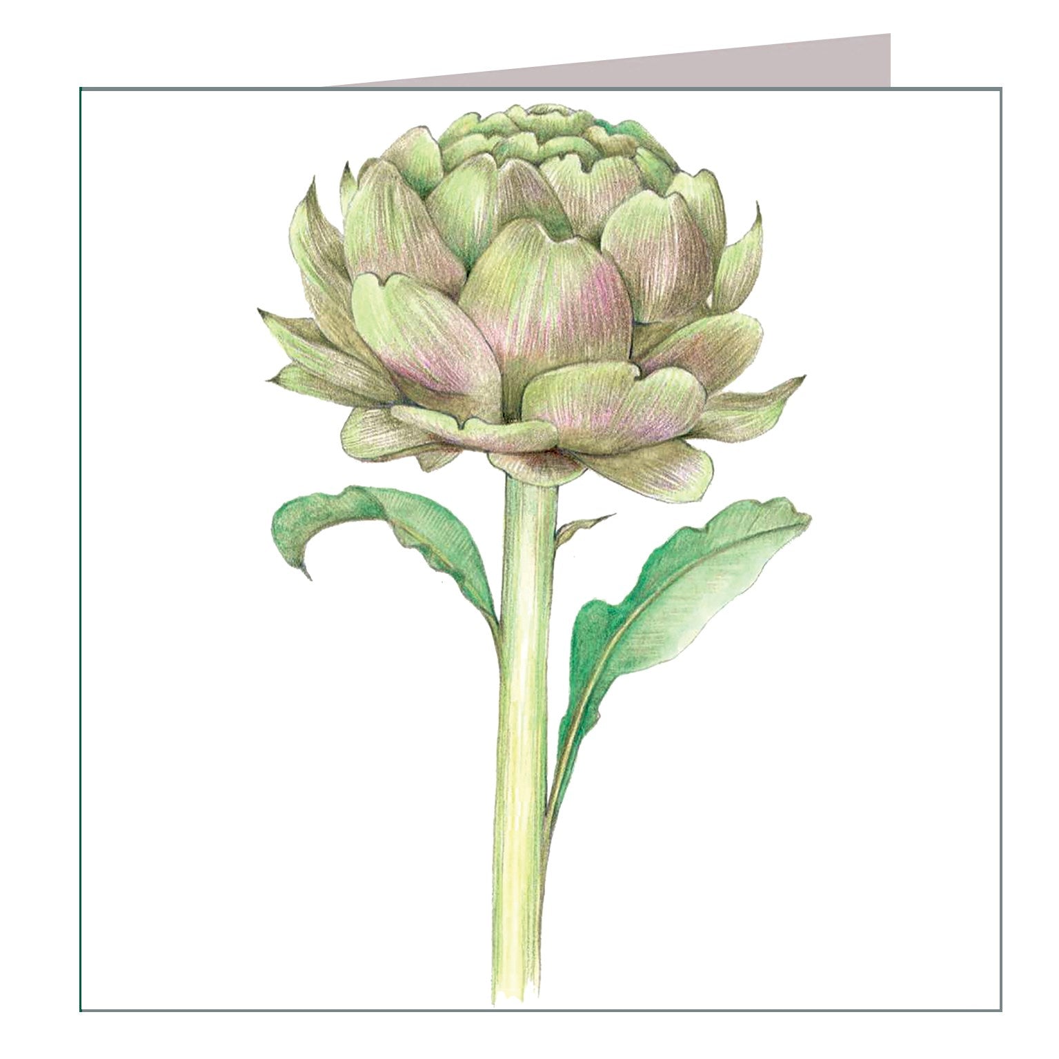 BT12 artichoke greetings card