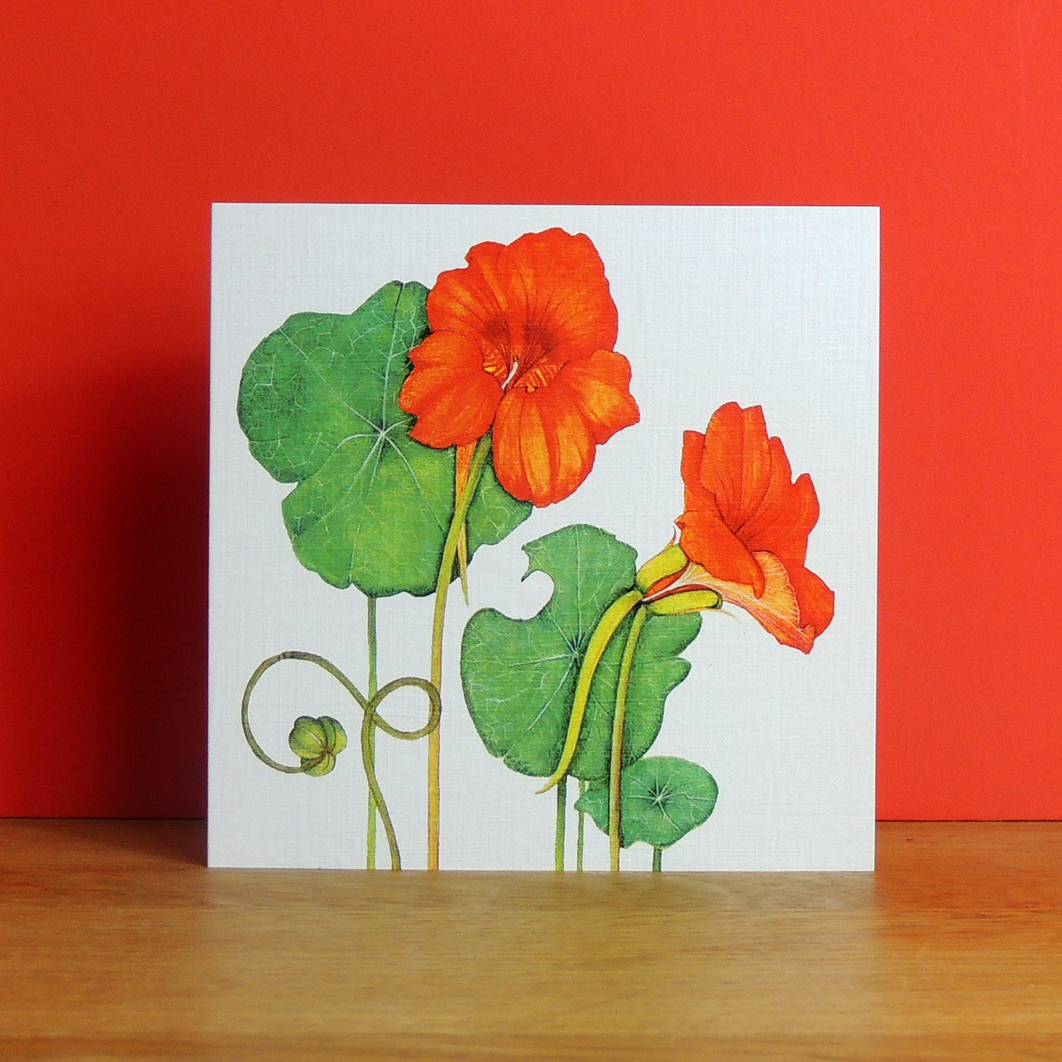 BT15 nasturtium greetings card