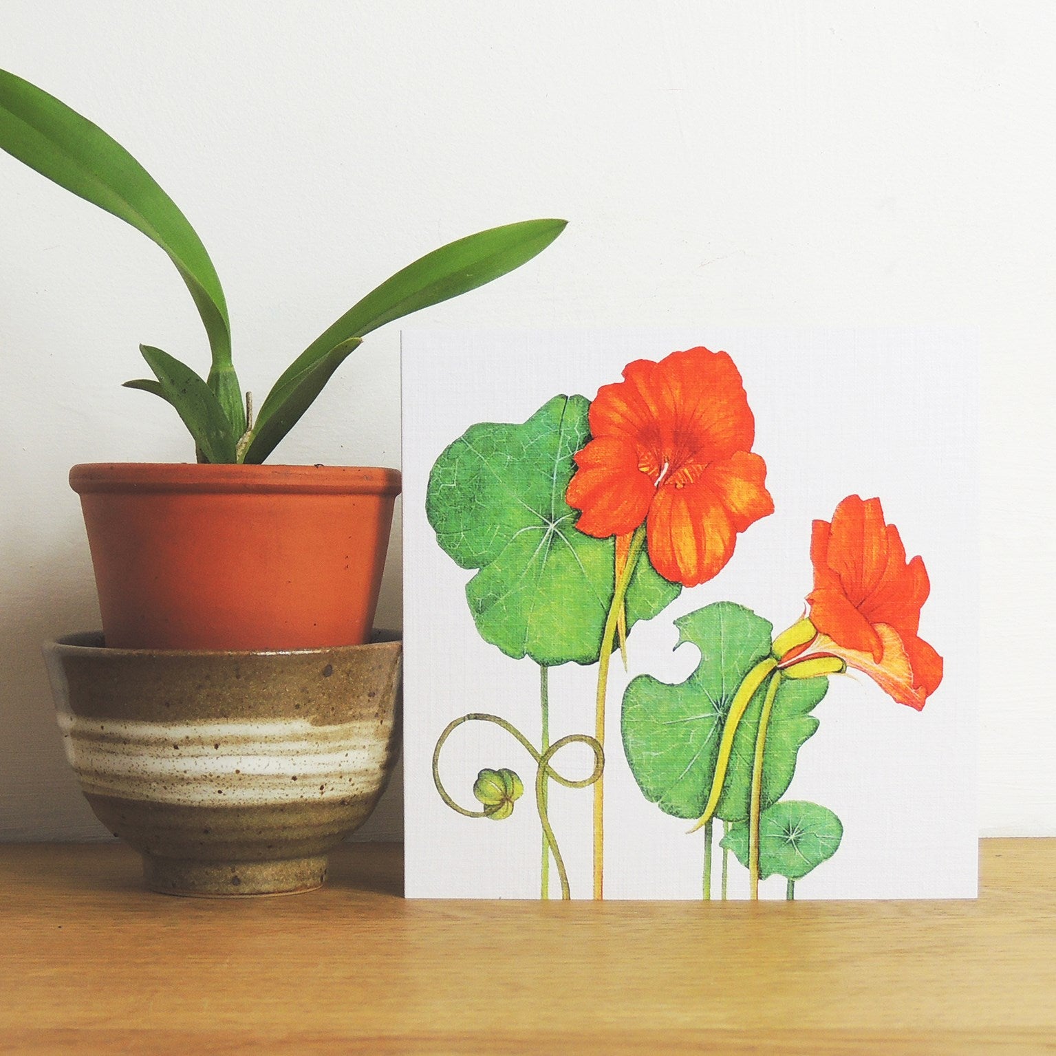 BT15 nasturtium greetings card