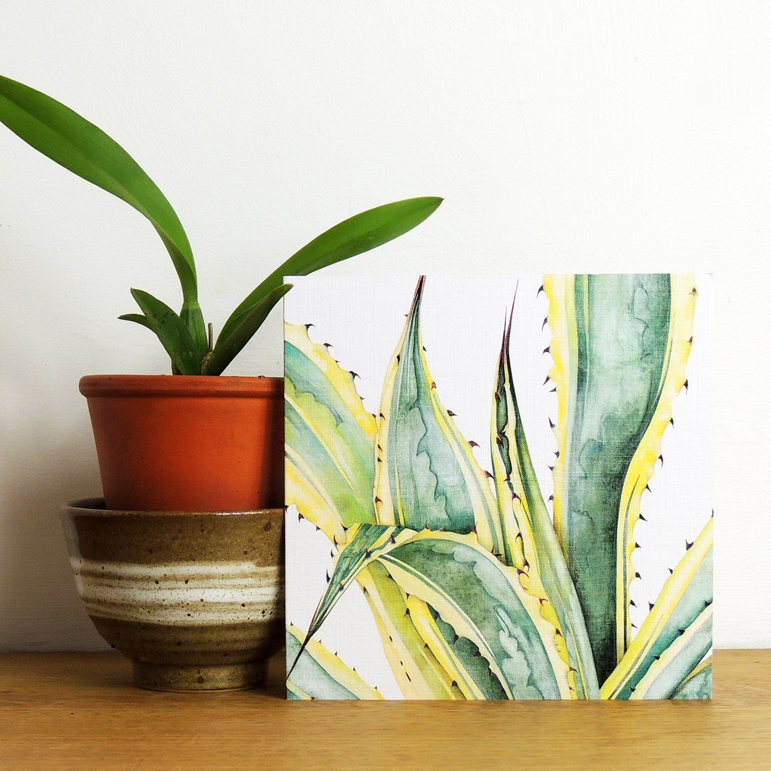 mixed botanical greetings card pack 3