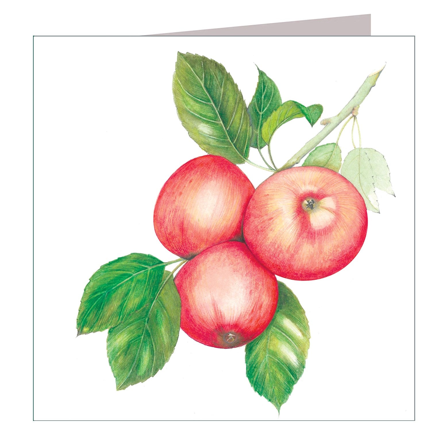 BT18 apples greetings card