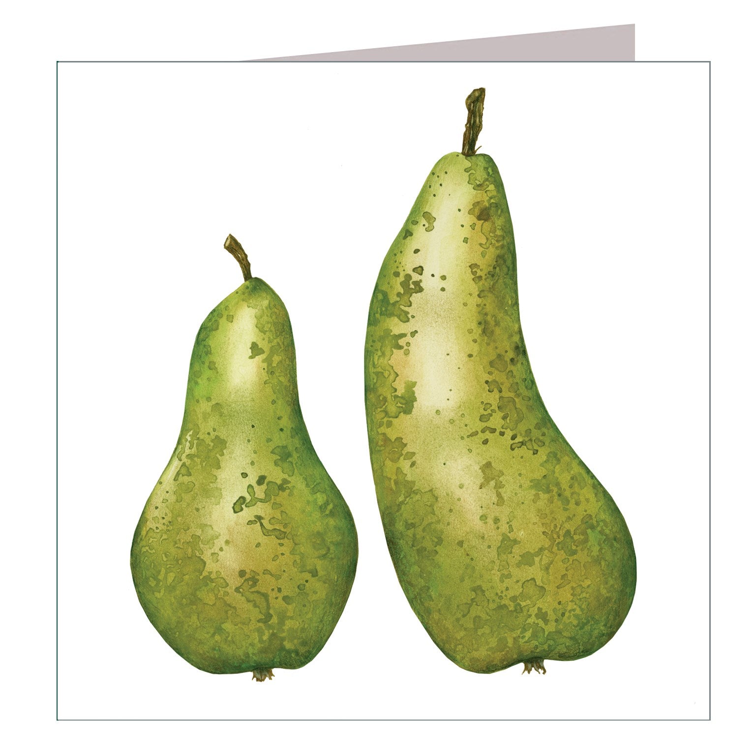 BT19 pears greetings card