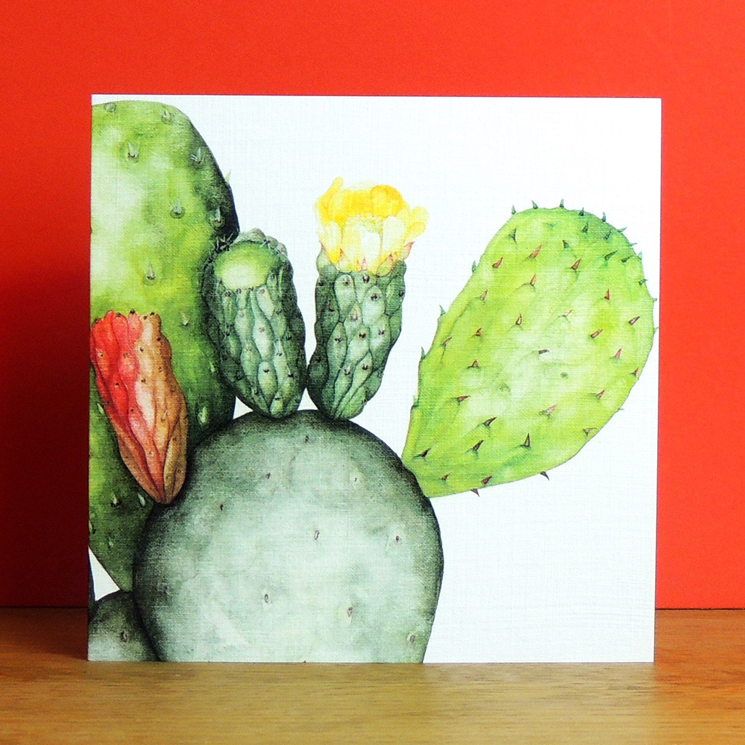 mixed botanical greetings card pack 3