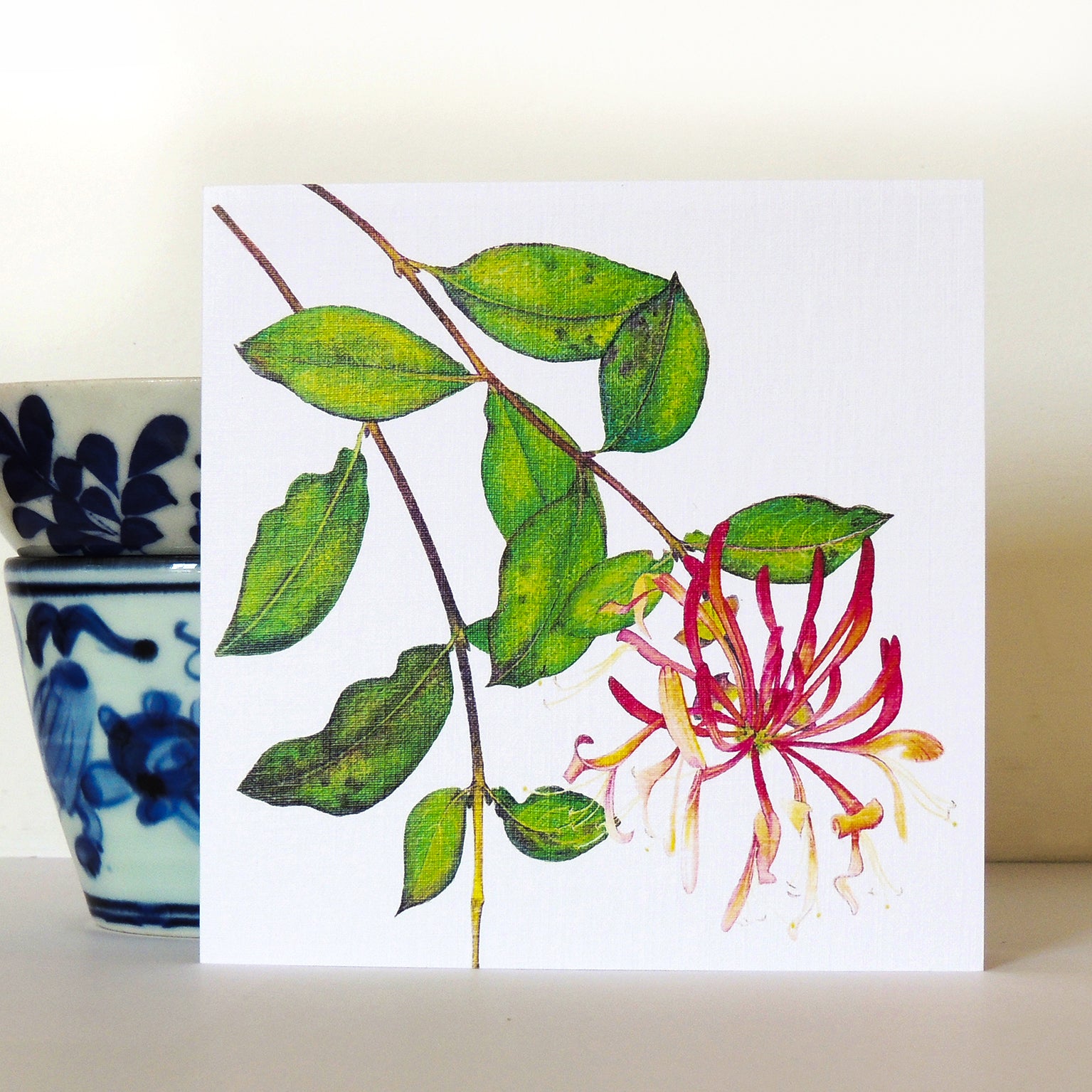 BT24 honeysuckle greetings card