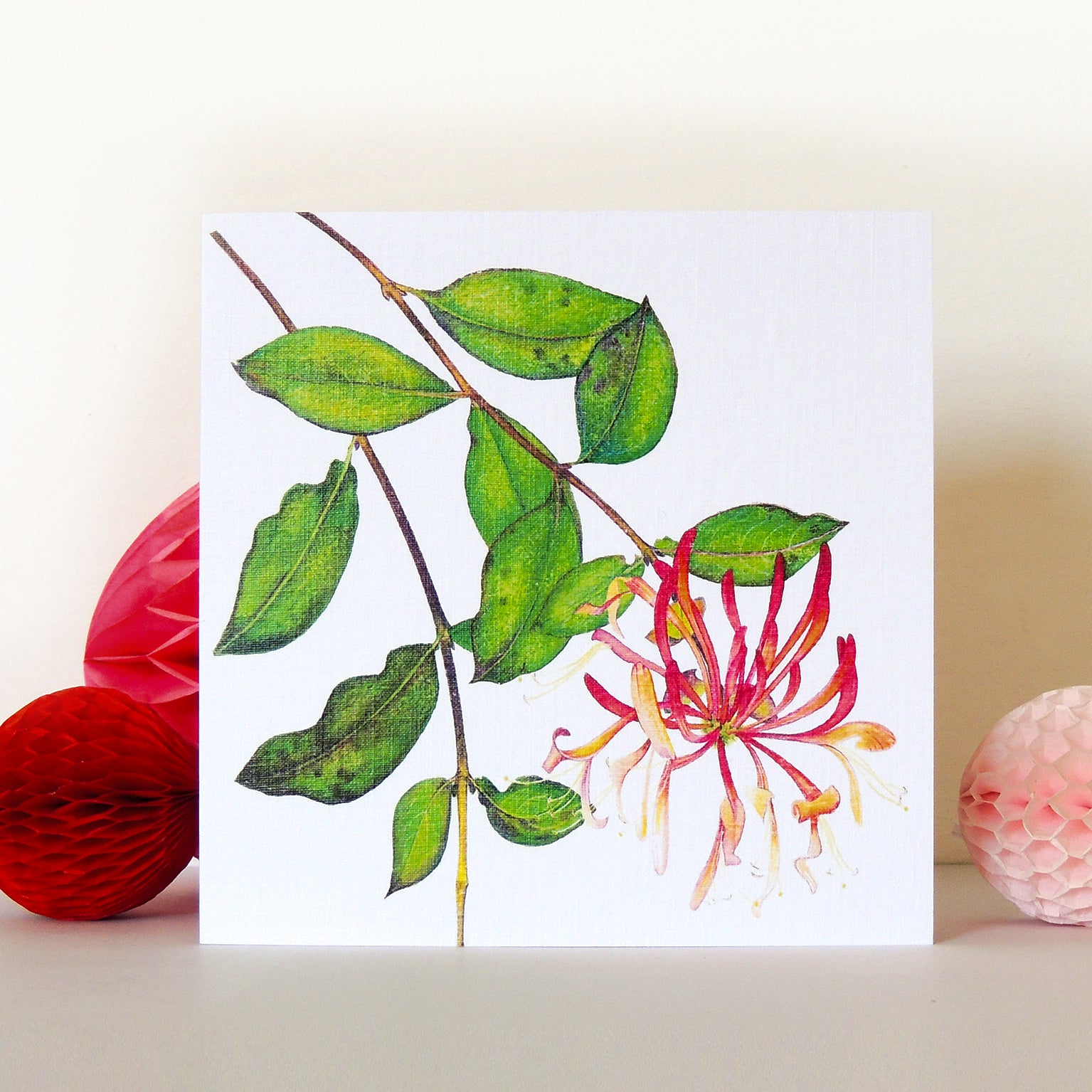 BT24 honeysuckle greetings card