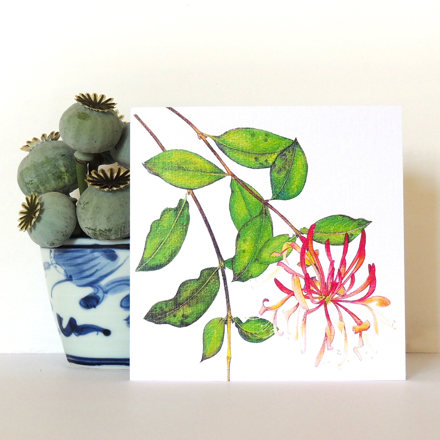 BT24 honeysuckle greetings card