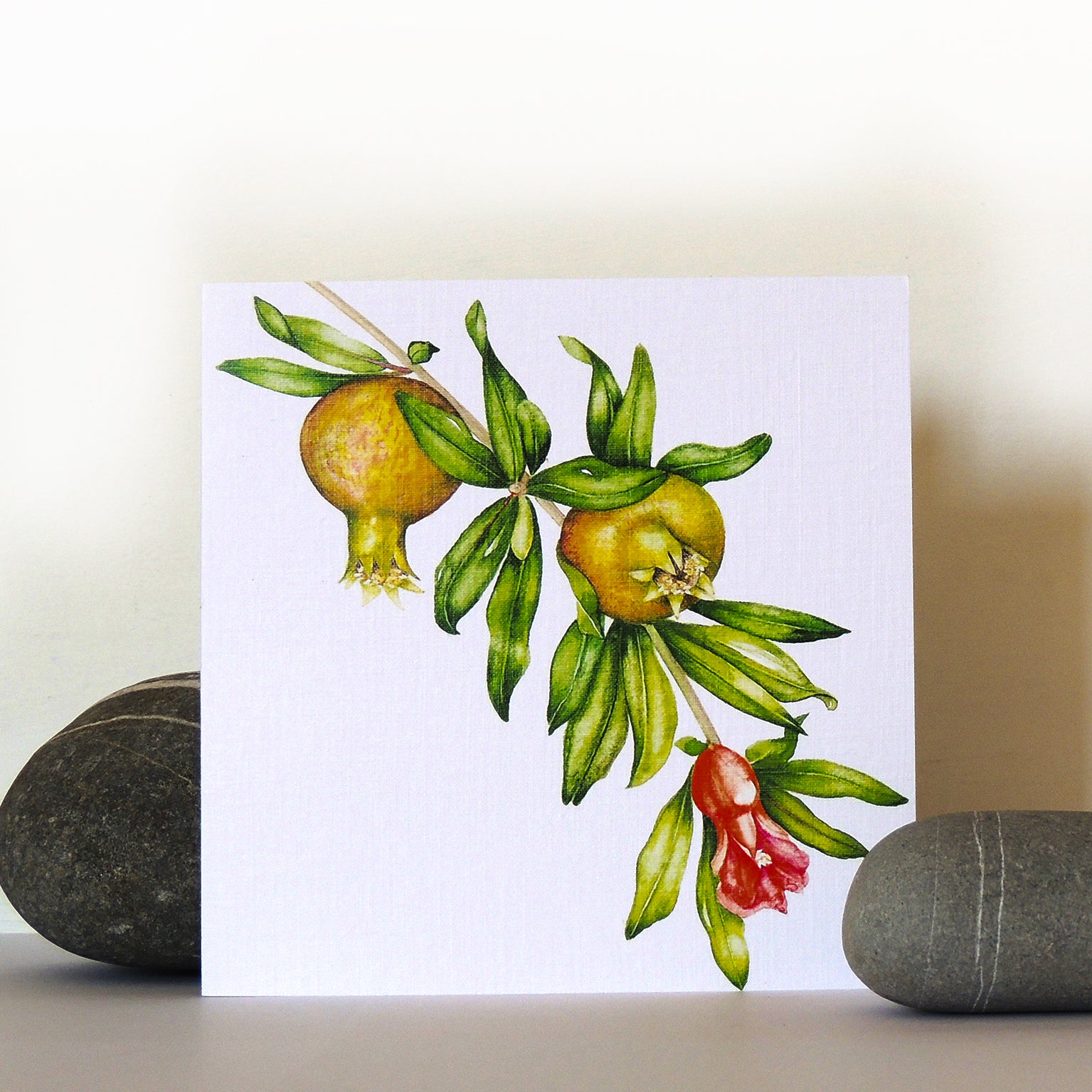 BT25 young pomegranates greetings card