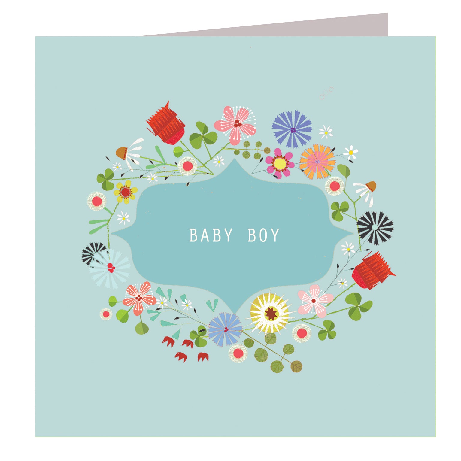 FL18 floral baby boy card