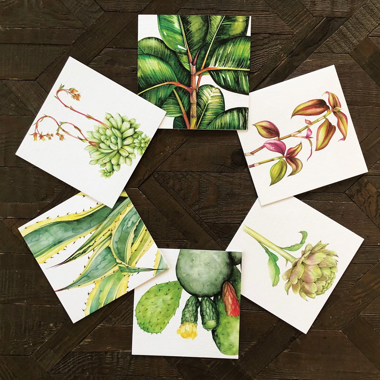 mixed botanical greetings card pack 3