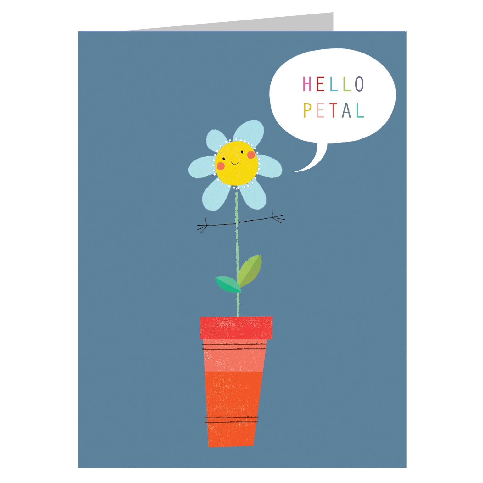 SM16 mini flower pot card