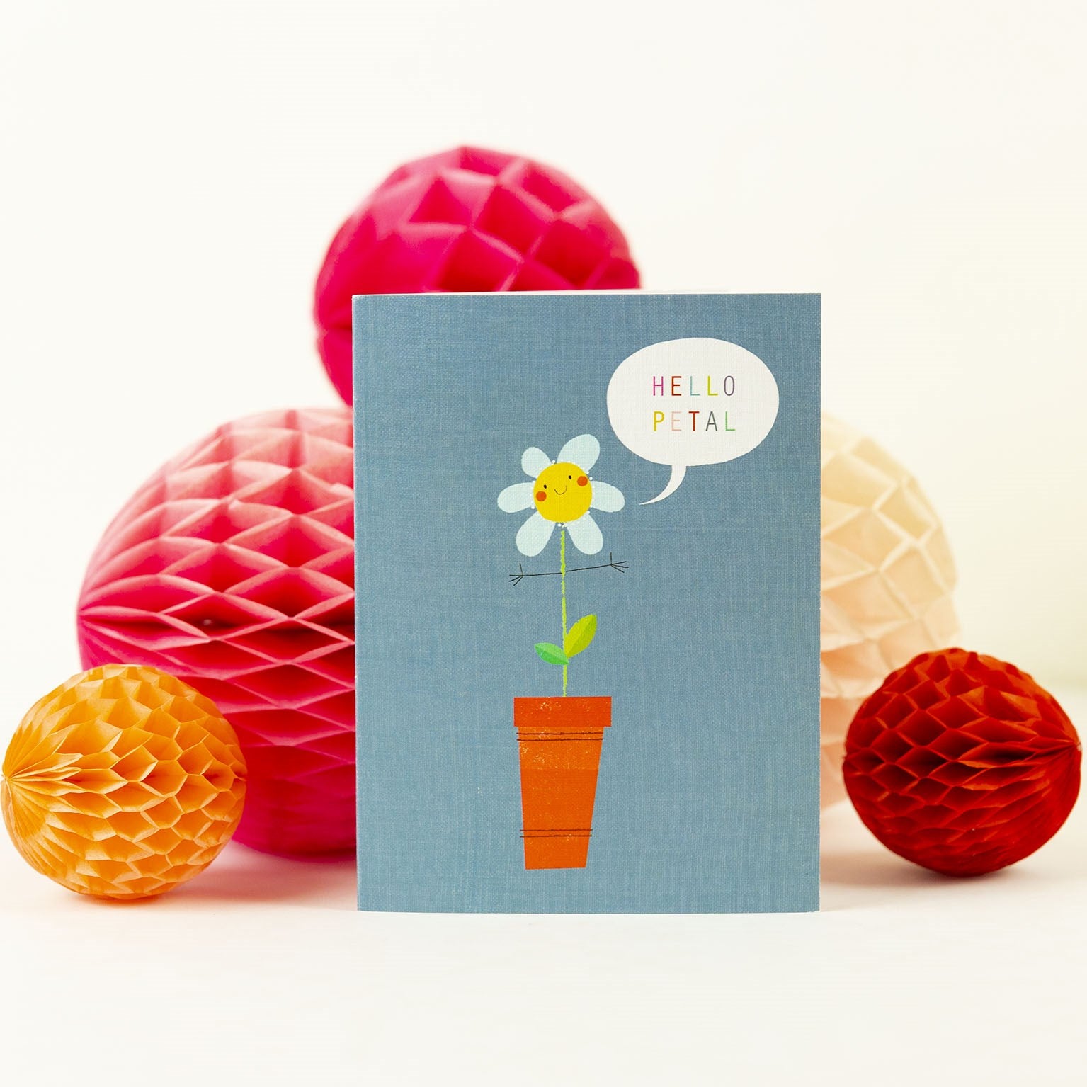 SM16 mini flower pot card