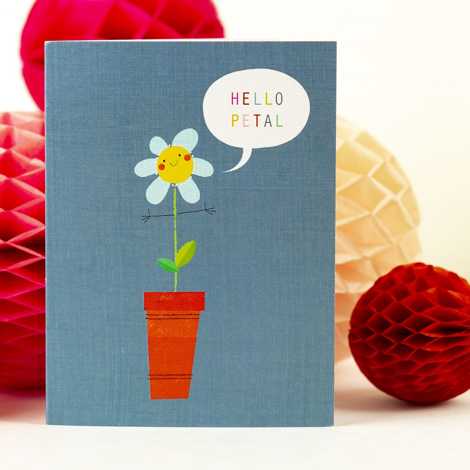 SM16 mini flower pot card