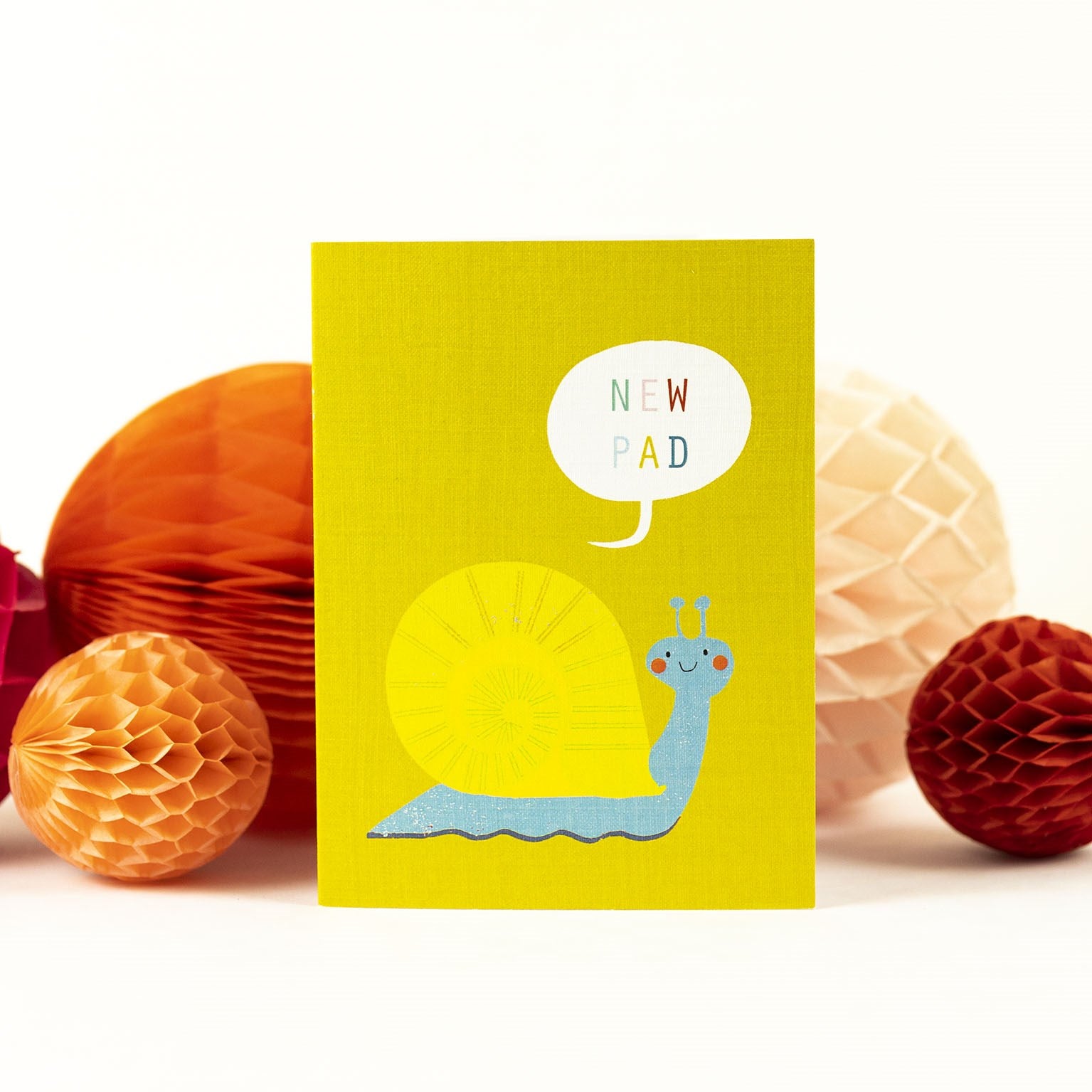 SM30 mini snail greetings card