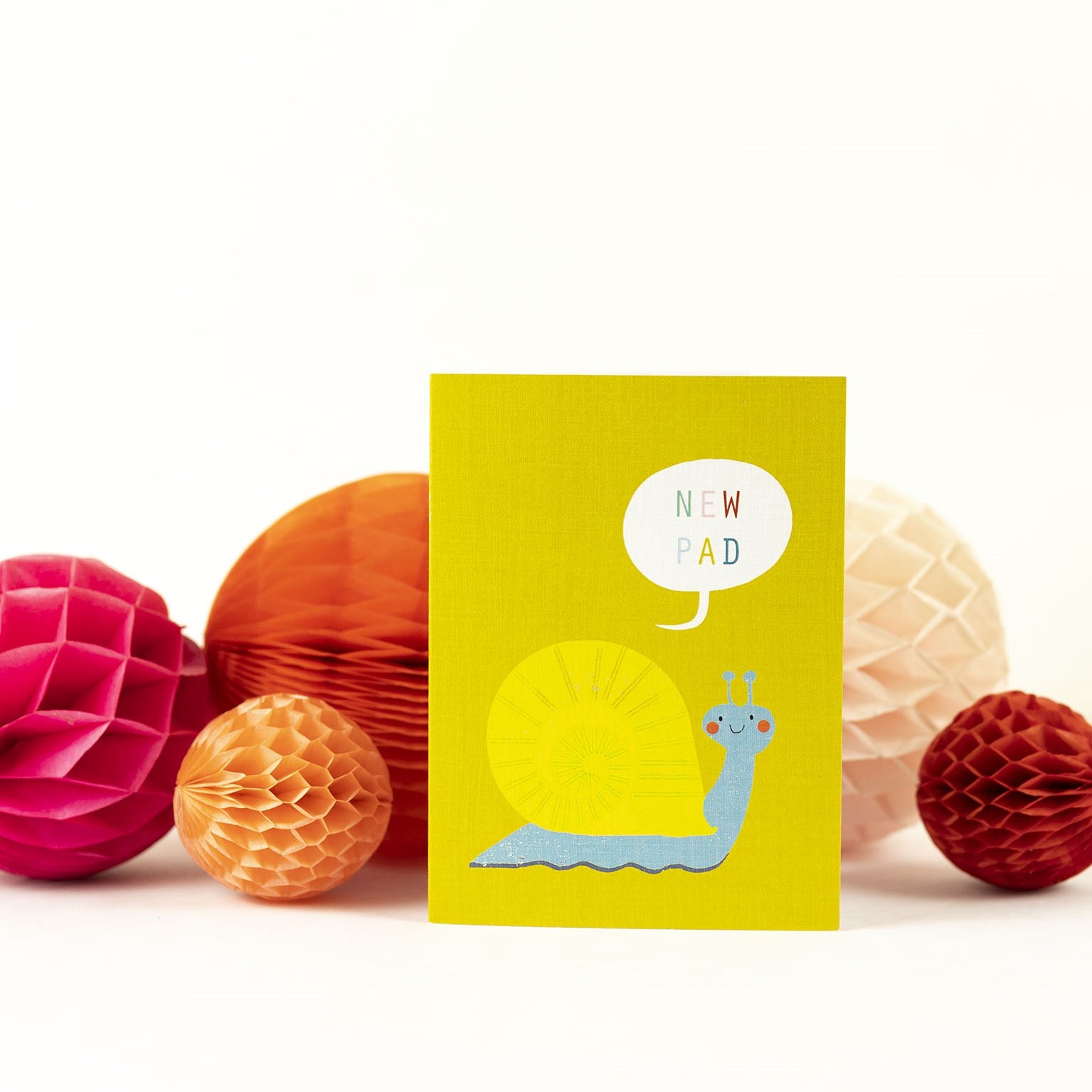 SM30 mini snail greetings card