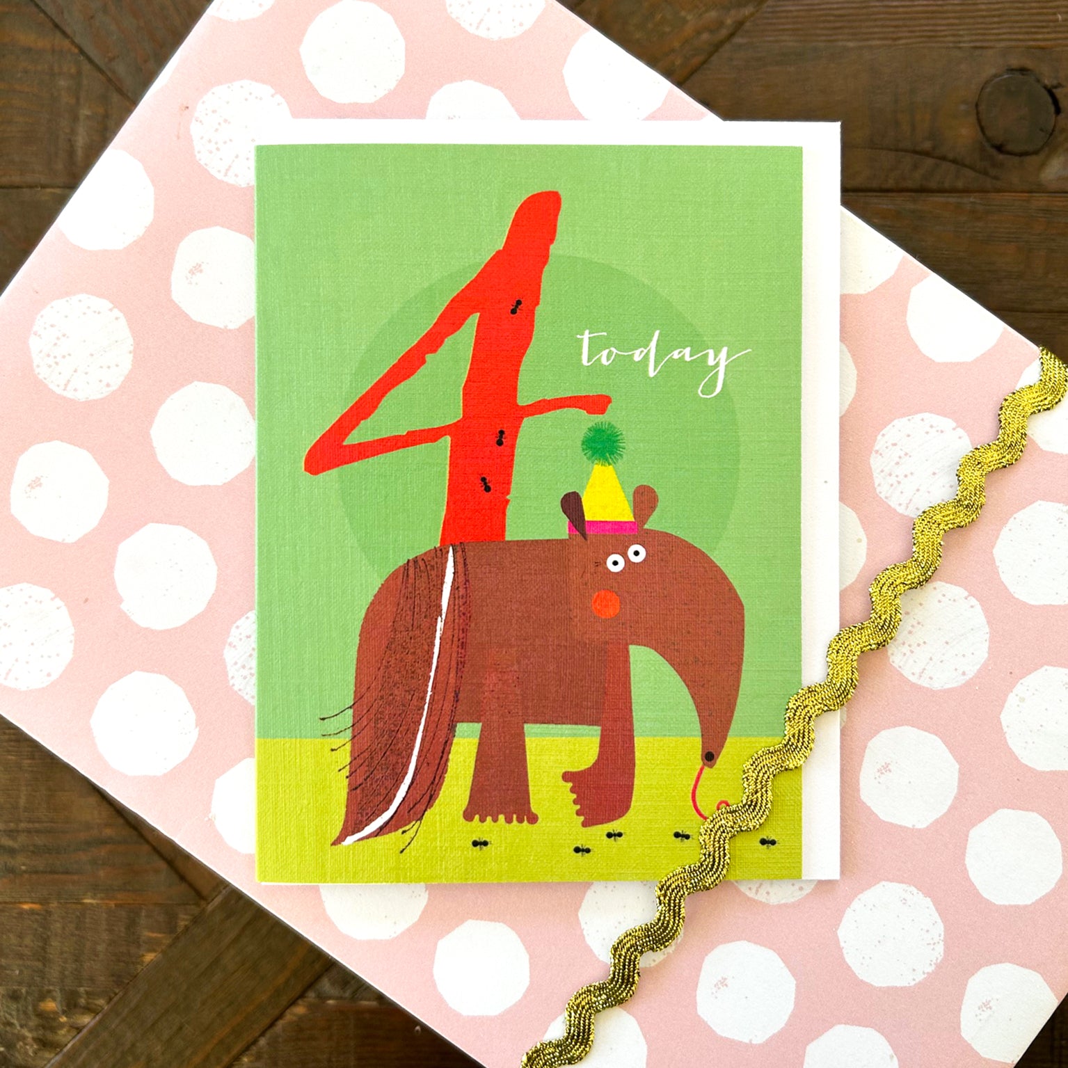 mini anteater 4th birthday card