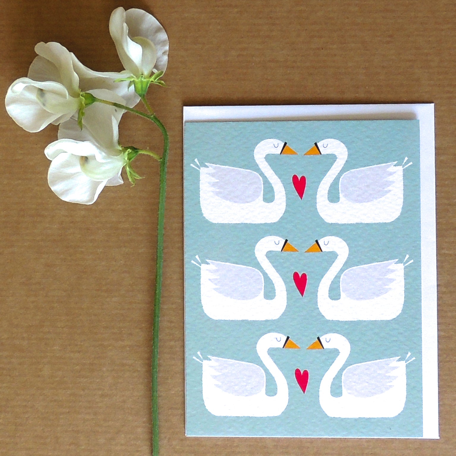 TW27 mini swans greetings card