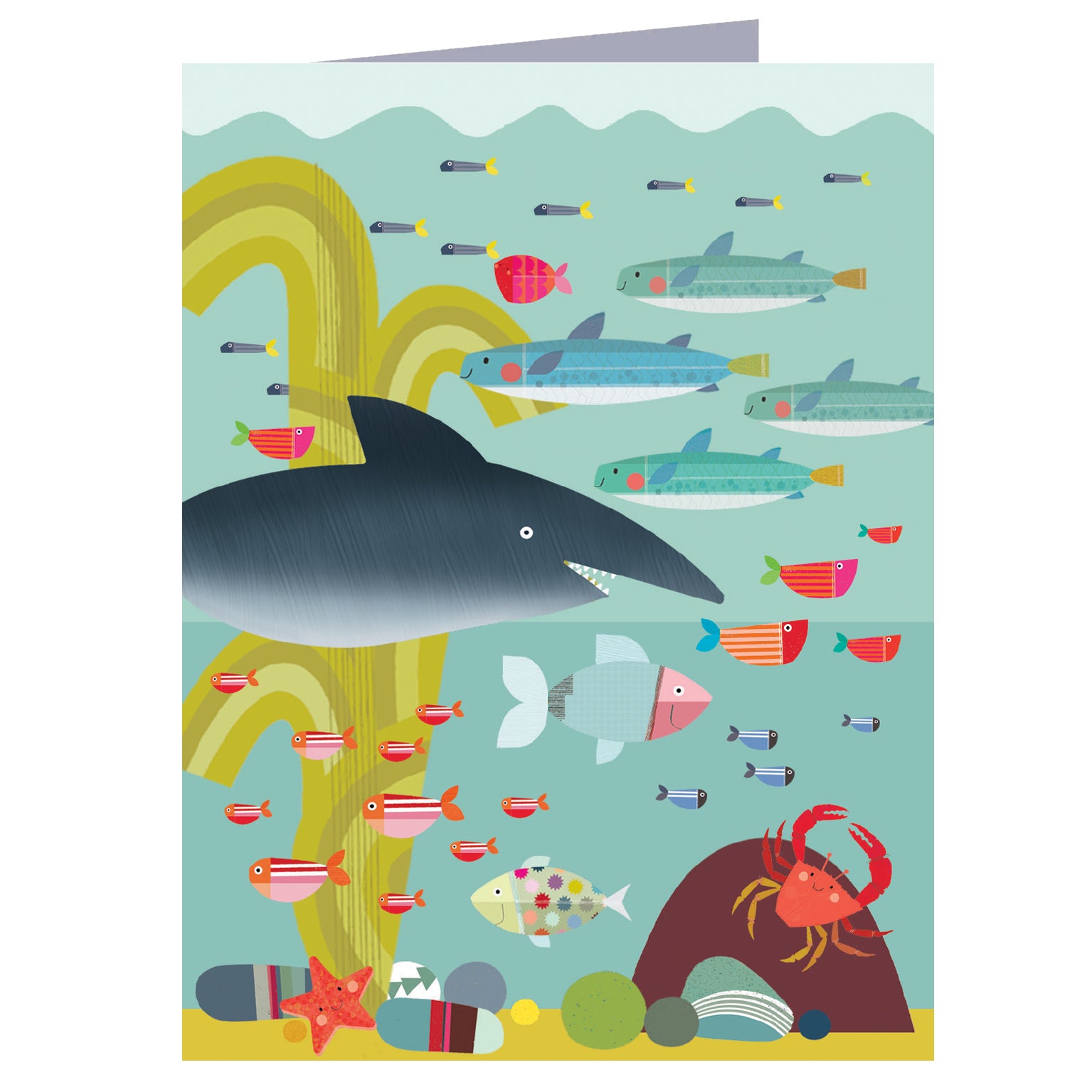 WTW112 mini underwater greetings card